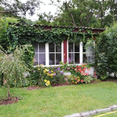 Ferienhaeuschen Gruber Villa Loosdorf Eksteriør bilde